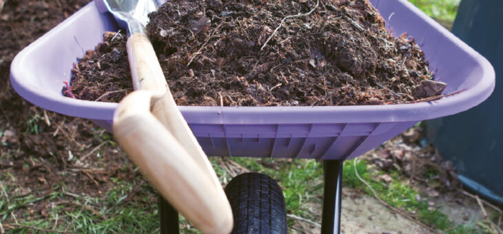 Tidings of Compost & Joy